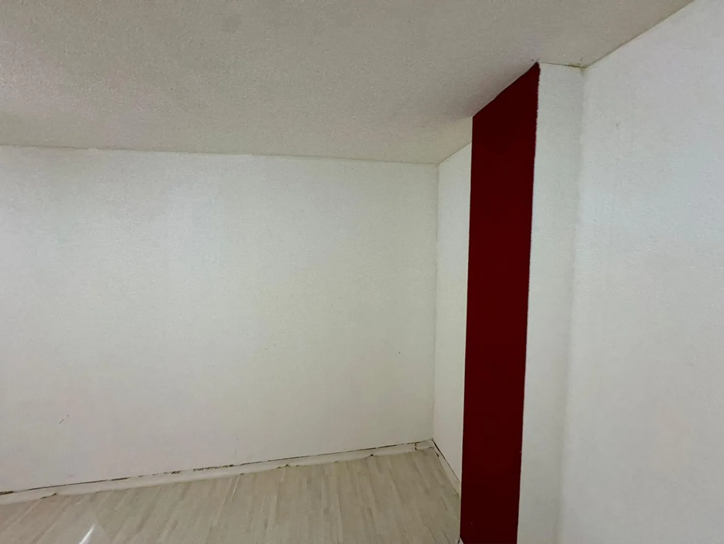 Storage/Commercial Space for Rent in Lausen - Photo 6 of 8