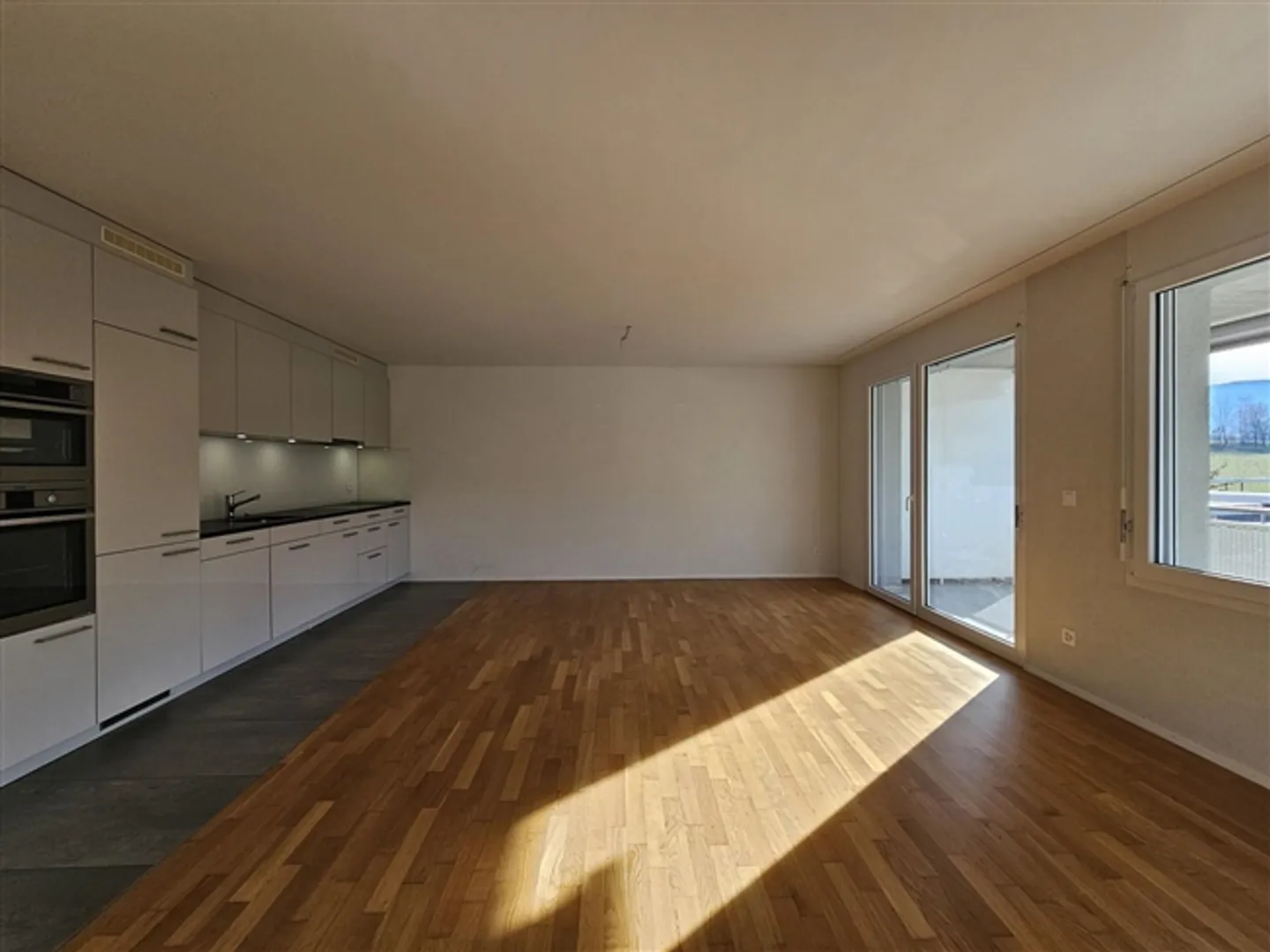 Large modern apartment with balcony of 4.5 rooms - Photo 3 of 12