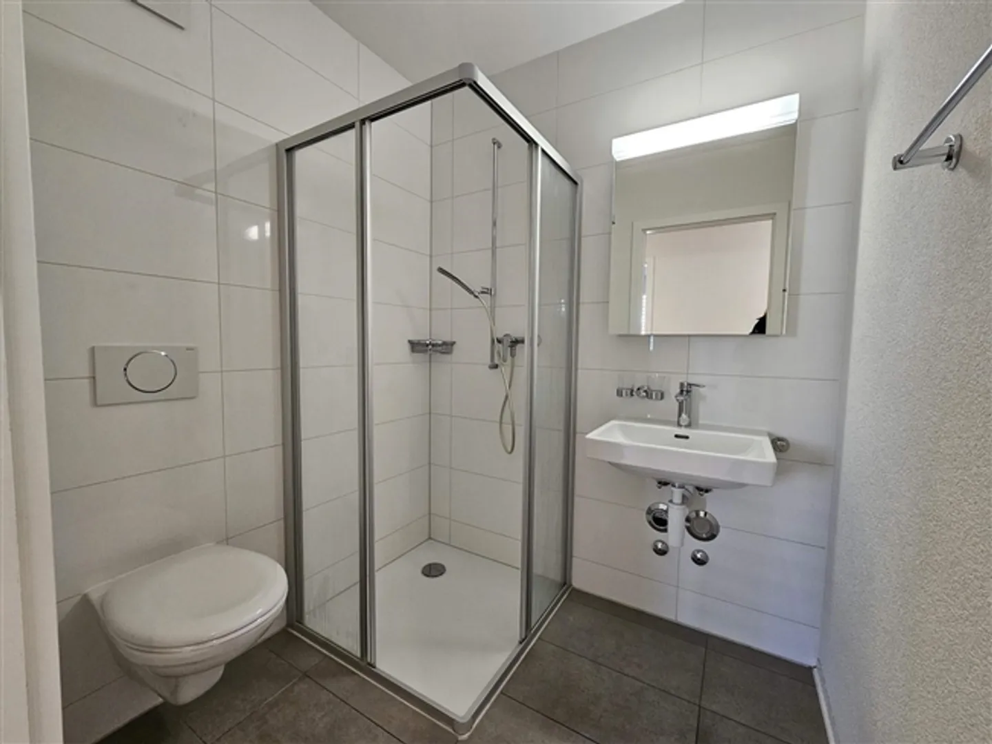 Large modern apartment with balcony of 4.5 rooms - Photo 4 of 12