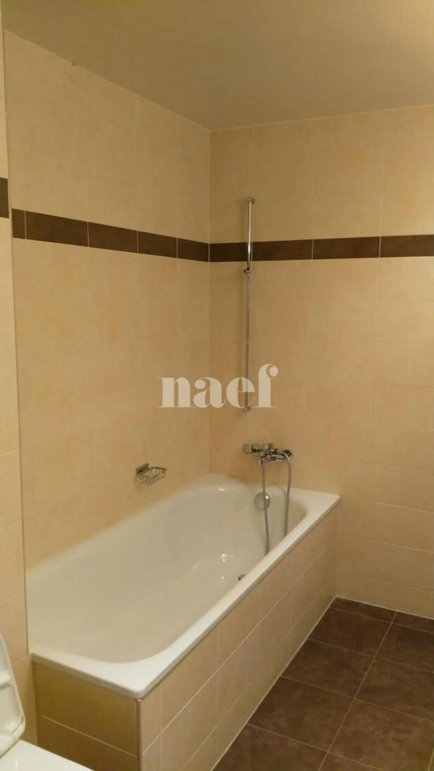 Charmantes Loft in Coppet - Foto 1 von 1