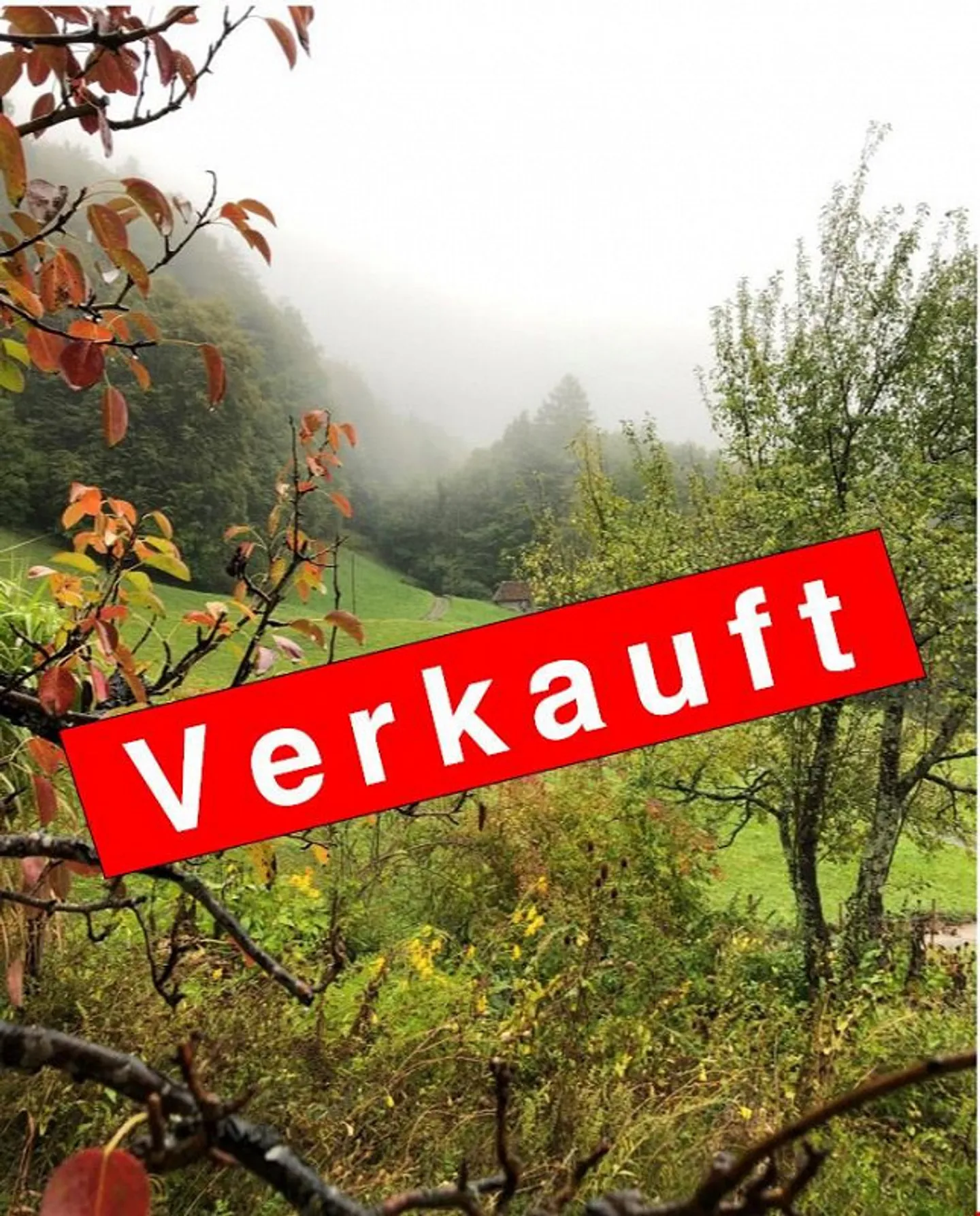 SOLD - Multi-family house with 3 residential units Meiringen BE - Photo 1 of 3