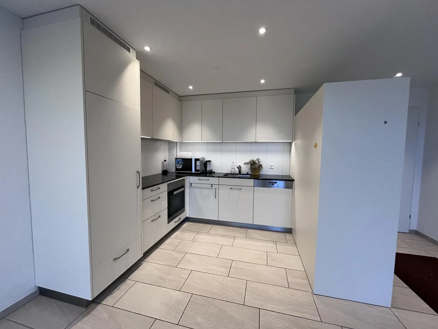 Spacious apartment with large terrace - Photo 3 of 10