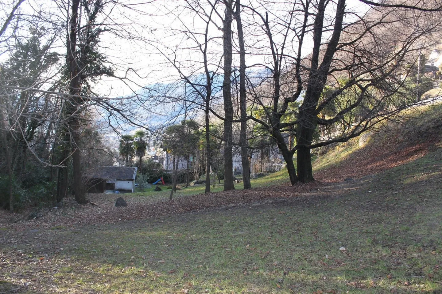 Sonniges Baugrundstück in Riazzino - Foto 11 von 11