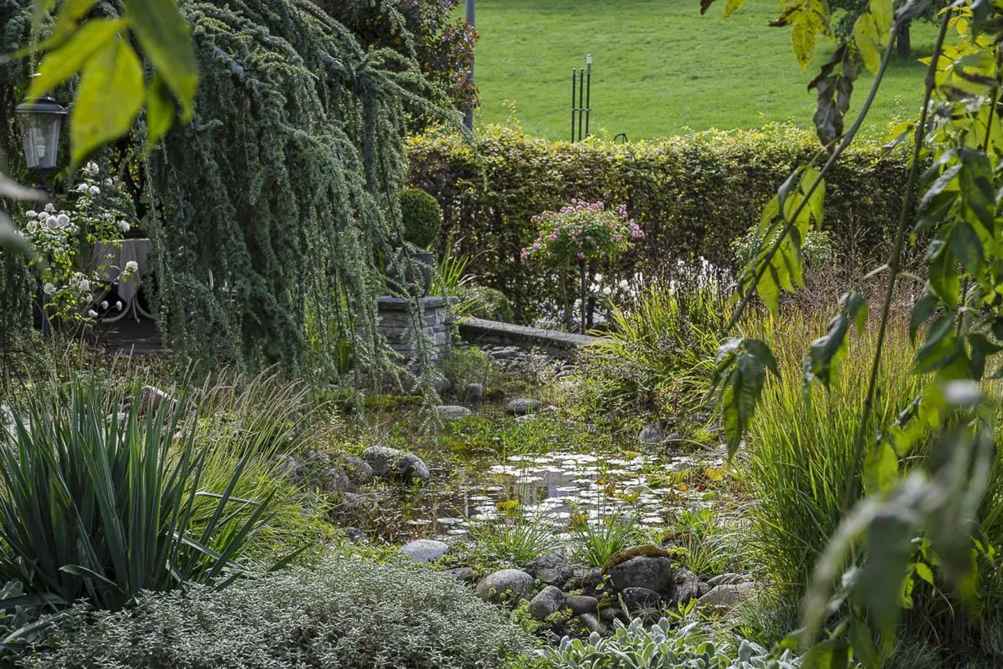 Quality of Life for Rent - Living and Working Under One Roof - Photo 20 of 24