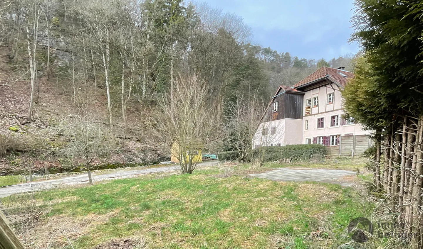 Terreno vicino alla natura e con molto potenziale - Foto 2 di 2