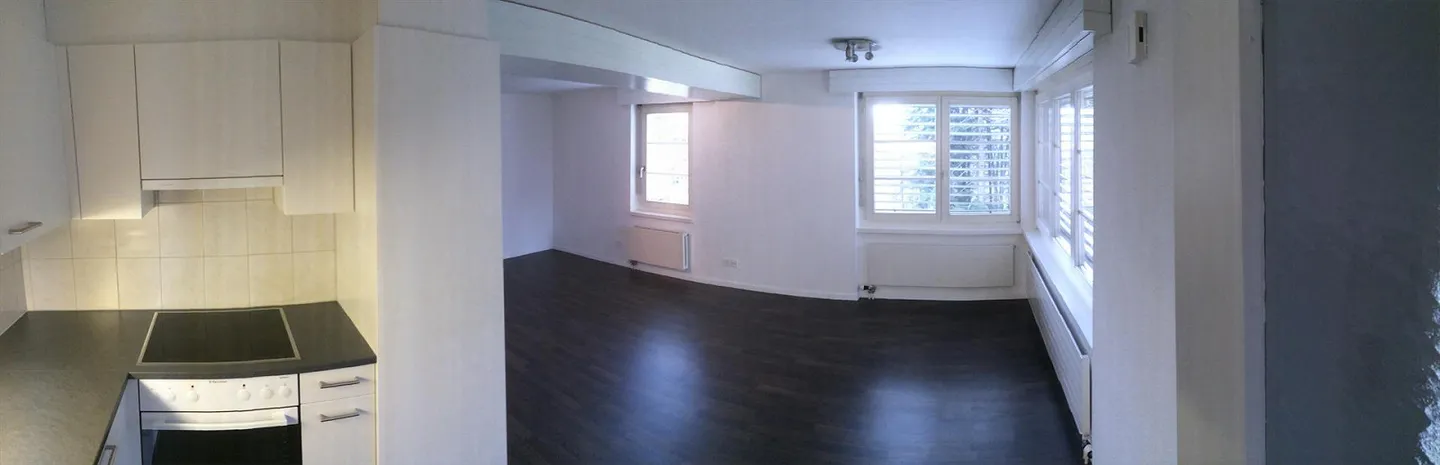 Appartement 1.5 pièces confortable à louer - Photo 1 sur 12
