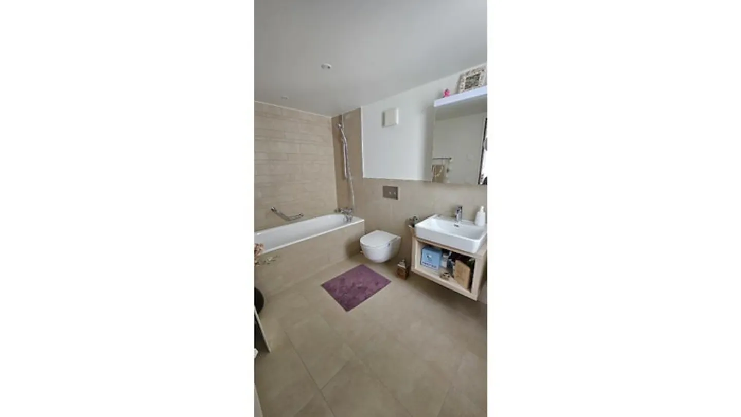 3½ ROOM APARTMENT IN SCHNEISINGEN (AG), FURNISHED, TEMPORARY - Photo 6 of 10
