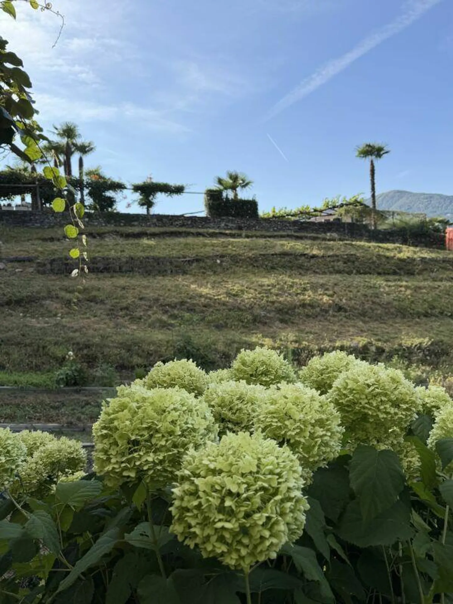 ZU VERKAUFEN IN CUGNASCO - Schönes Einfamilienhaus mit 5,5 Zimmern in sehr gutem Zustand - Foto 7 von 18