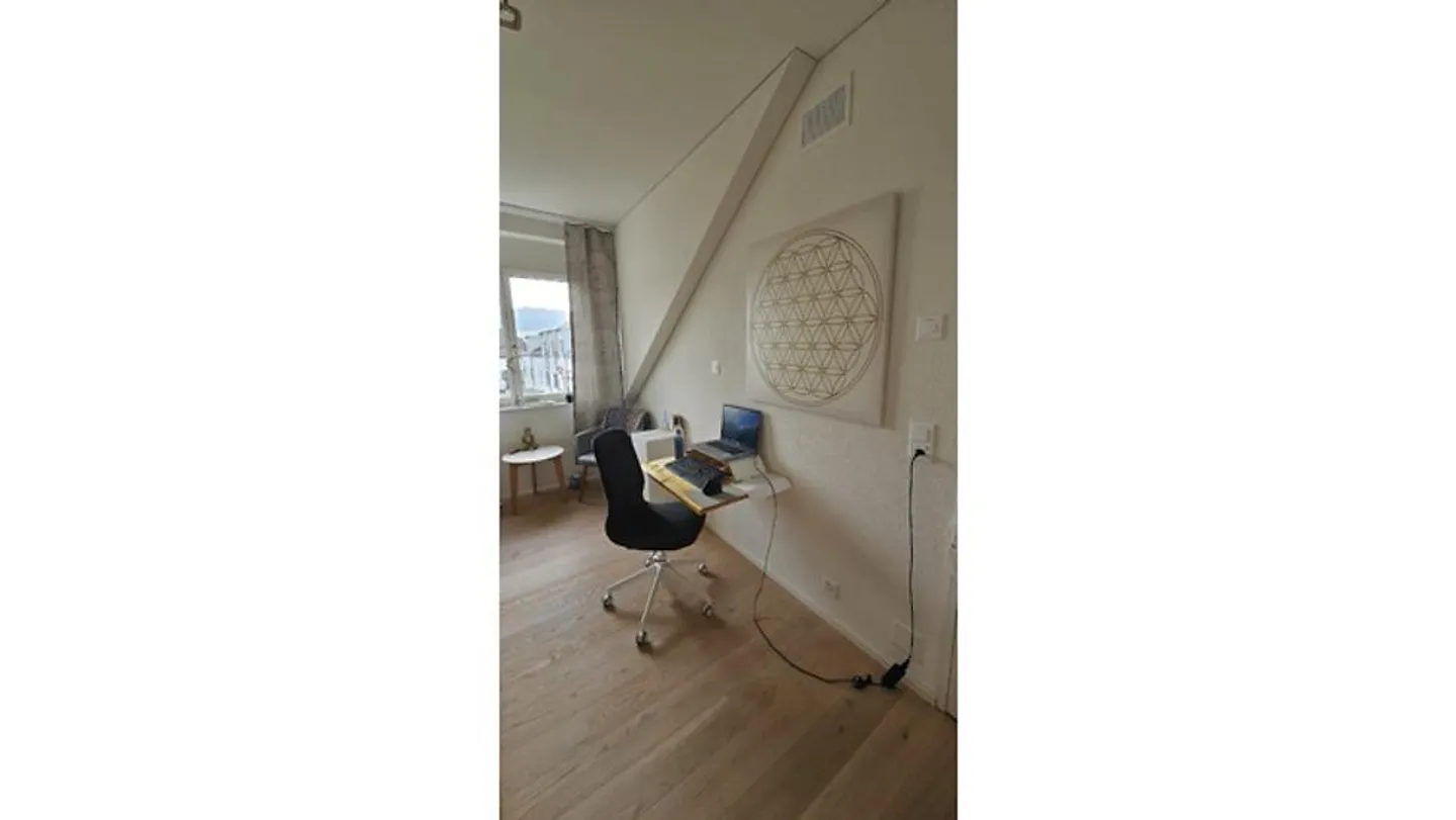 3½ ROOM APARTMENT IN SCHNEISINGEN (AG), FURNISHED, TEMPORARY - Photo 9 of 10