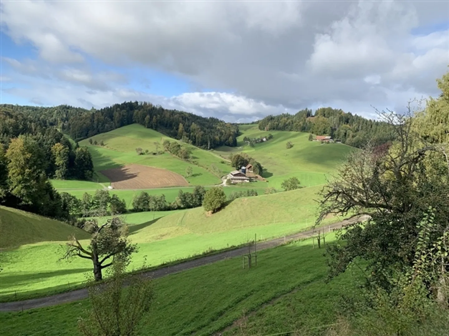 «Milchwirtschaftsbetrieb mit Laufstall und neuem Wohnhaus zu verpachten» - Foto 1 von 7