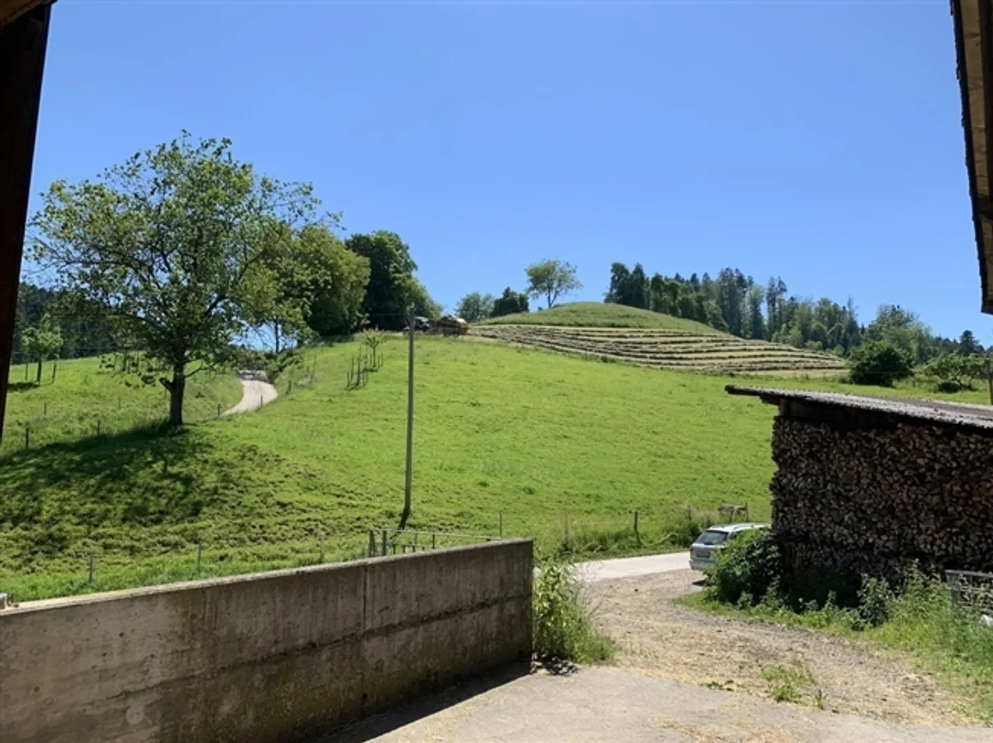 «Milchwirtschaftsbetrieb mit Laufstall und neuem Wohnhaus zu verpachten» - Foto 4 von 7