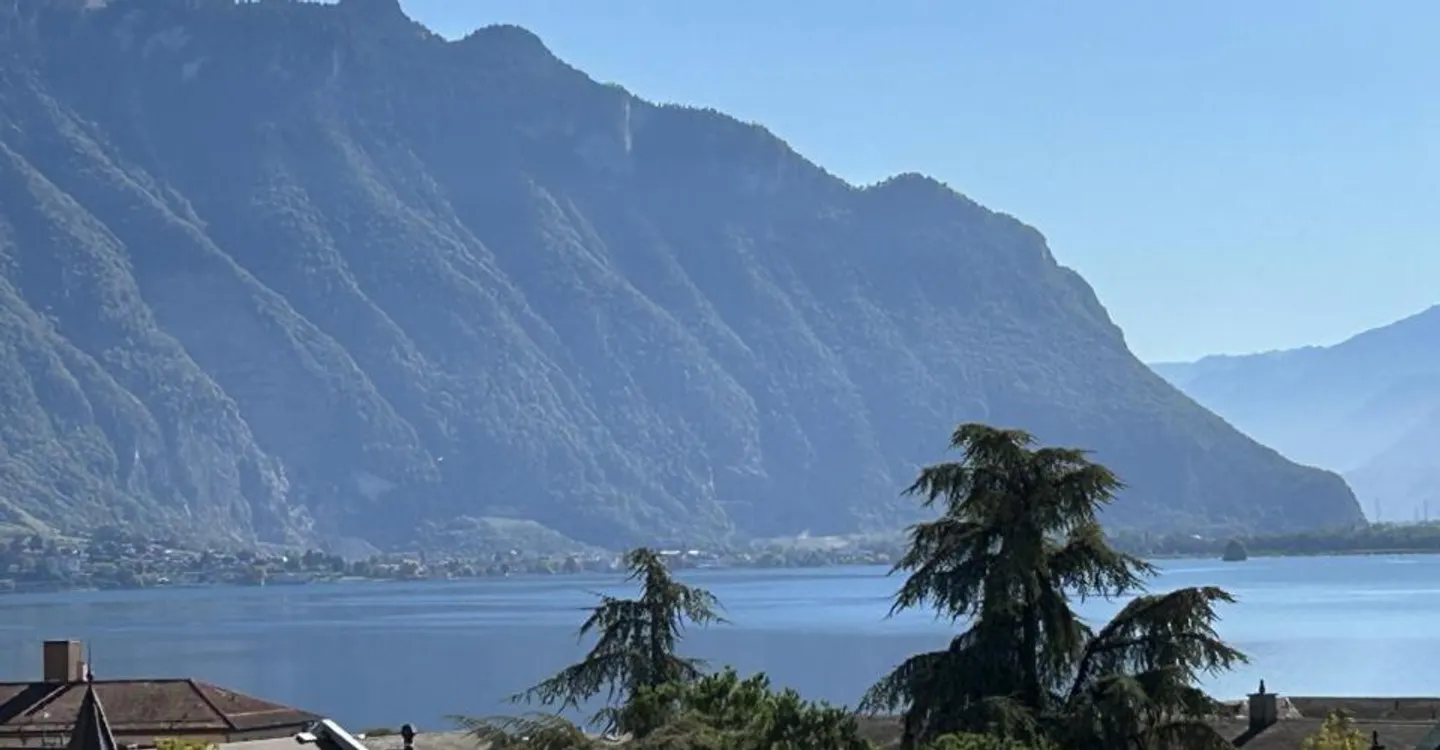 Appartement rénové avec vue sur le lac - Photo 5 sur 7