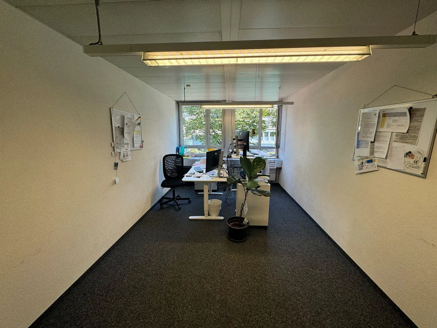 Espace de bureau et commercial central avec vue sur l'Aare - Photo 11 sur 26