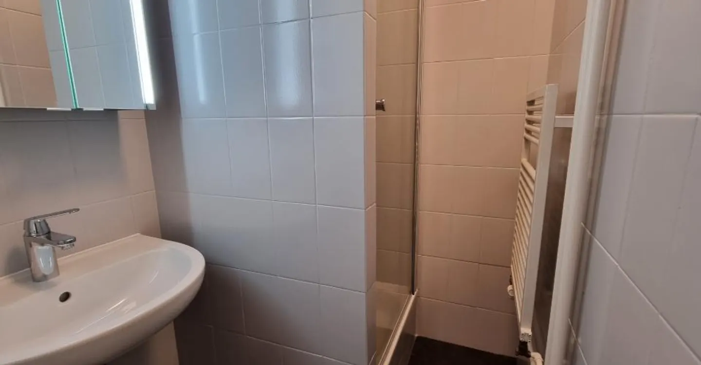 LARGE 6-ROOM APARTMENT - Photo 4 of 6