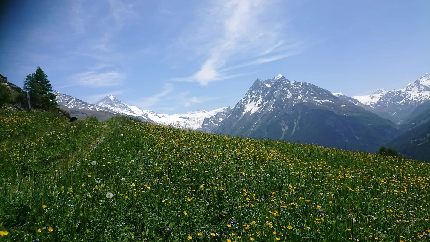 Val D'Hérens, La Forclaz- Evolène - Foto 15 von 17