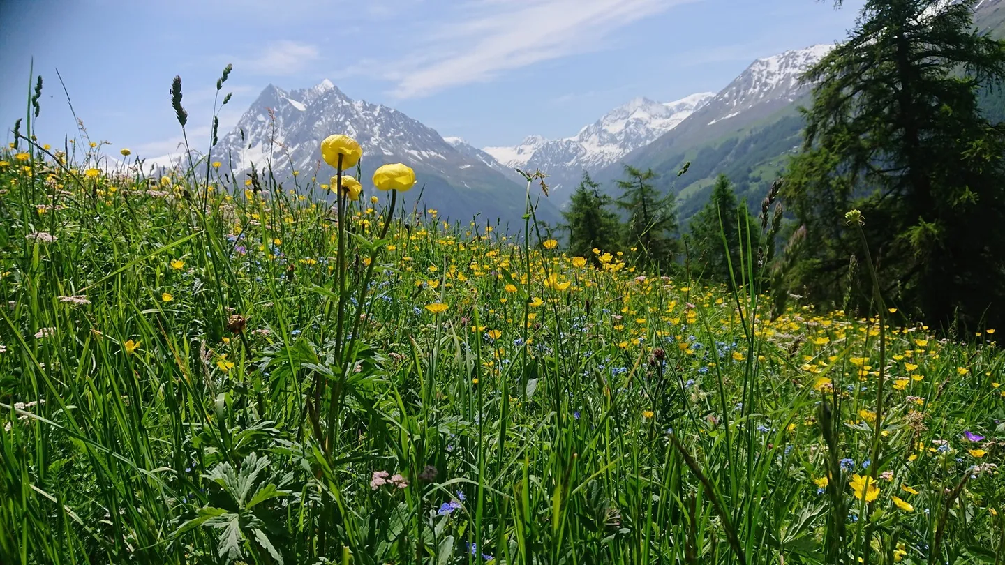 Val D'Hérens, La Forclaz- Evolène - Foto 14 von 17