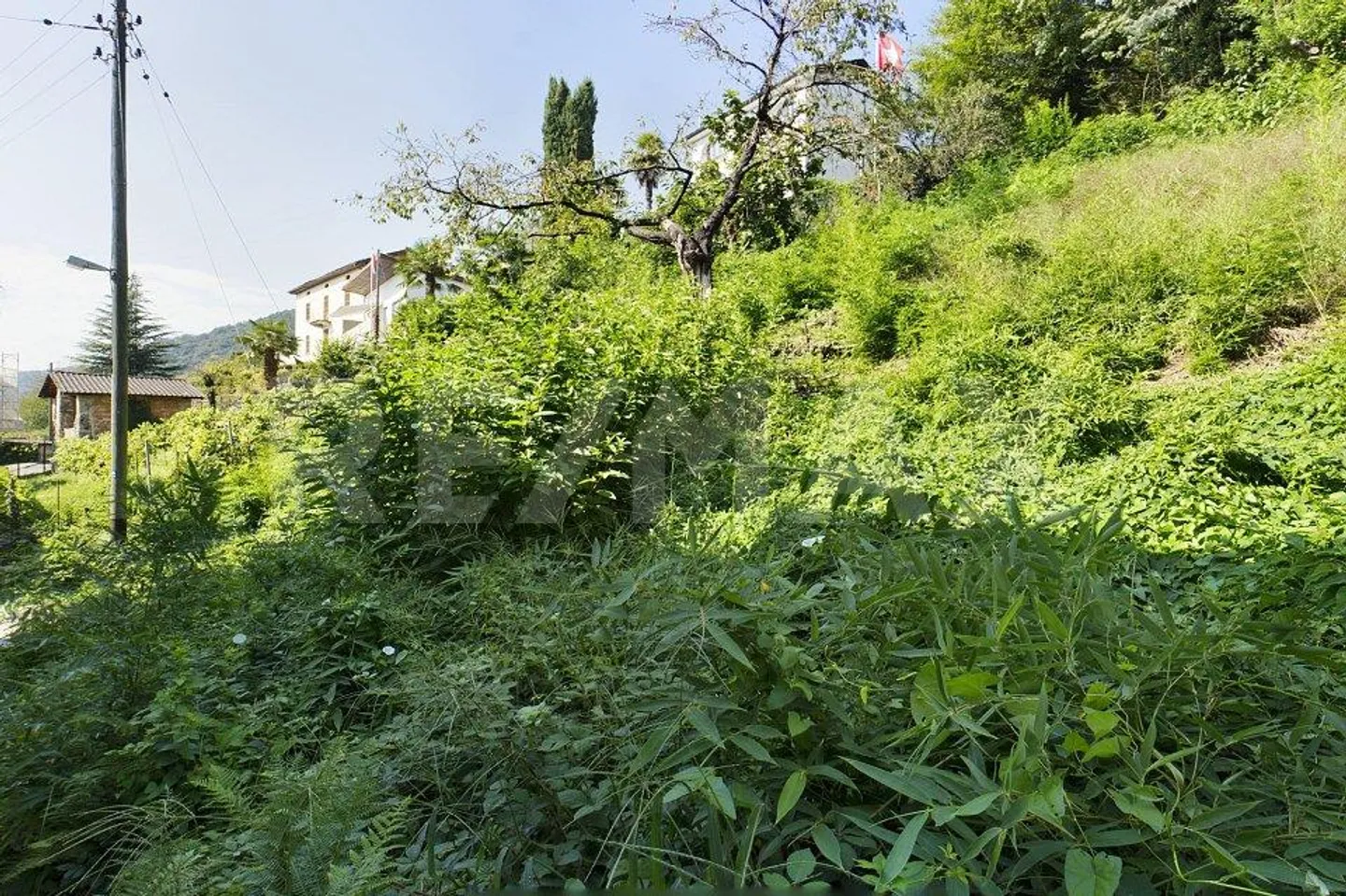 Terreno Edificabile in Zona Tranquilla - Foto 5 di 5