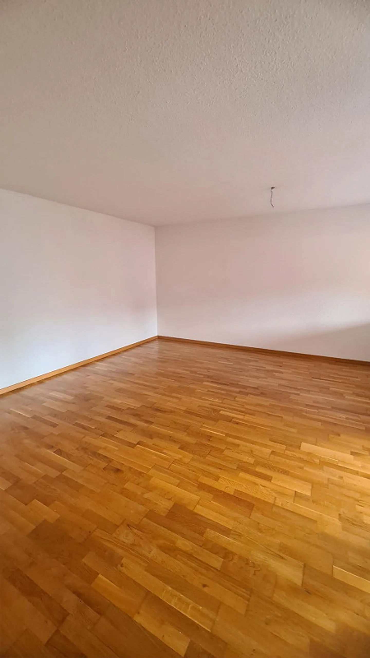Recently Renovated 2.5 Room Apartment in Altstätten - Photo 5 of 6
