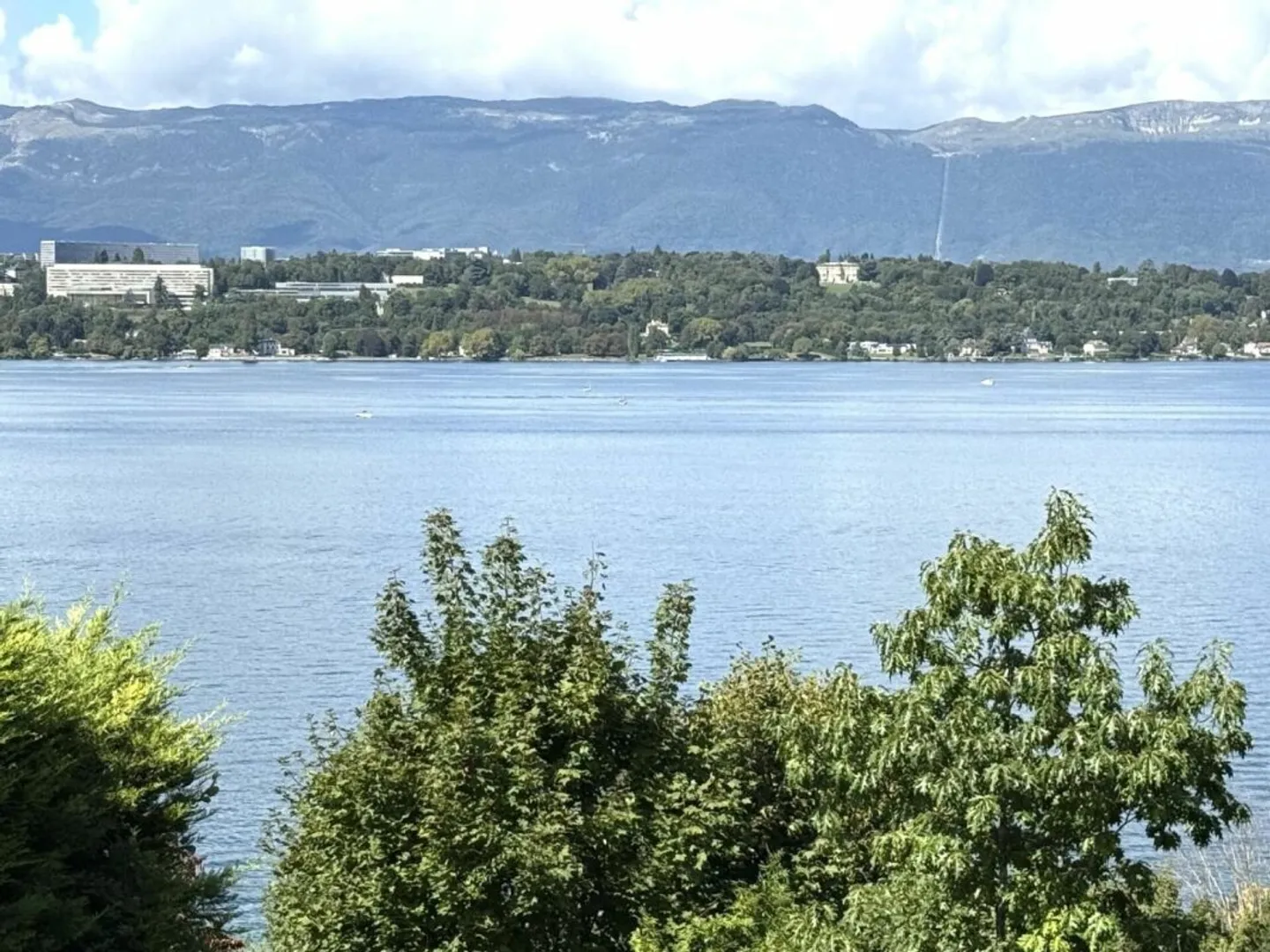 Appartement mit 10 Zimmern in Cologny - Foto 4 von 4