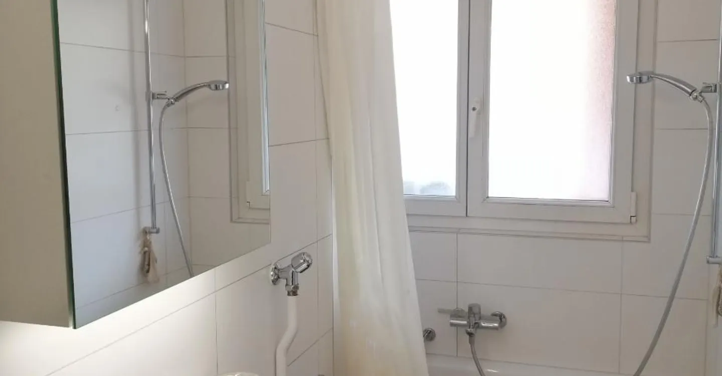 Charming Apartment in Sierre - Photo 7 of 7