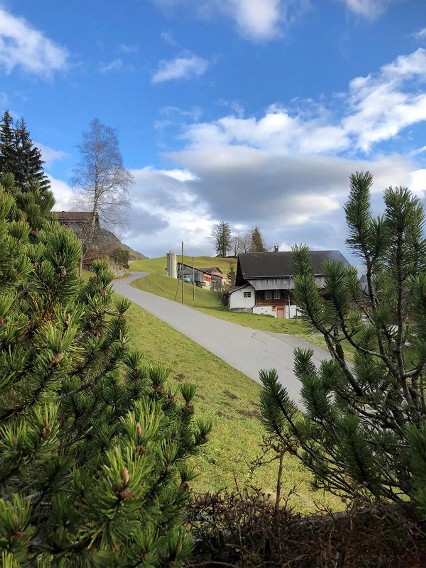 2.5-Room Apartment Hasliberg-Wasserwendi - Photo 7 of 13