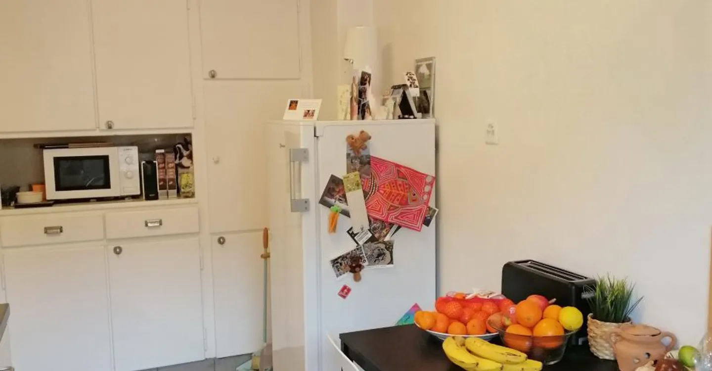 Charming Apartment in Sierre - Photo 5 of 7