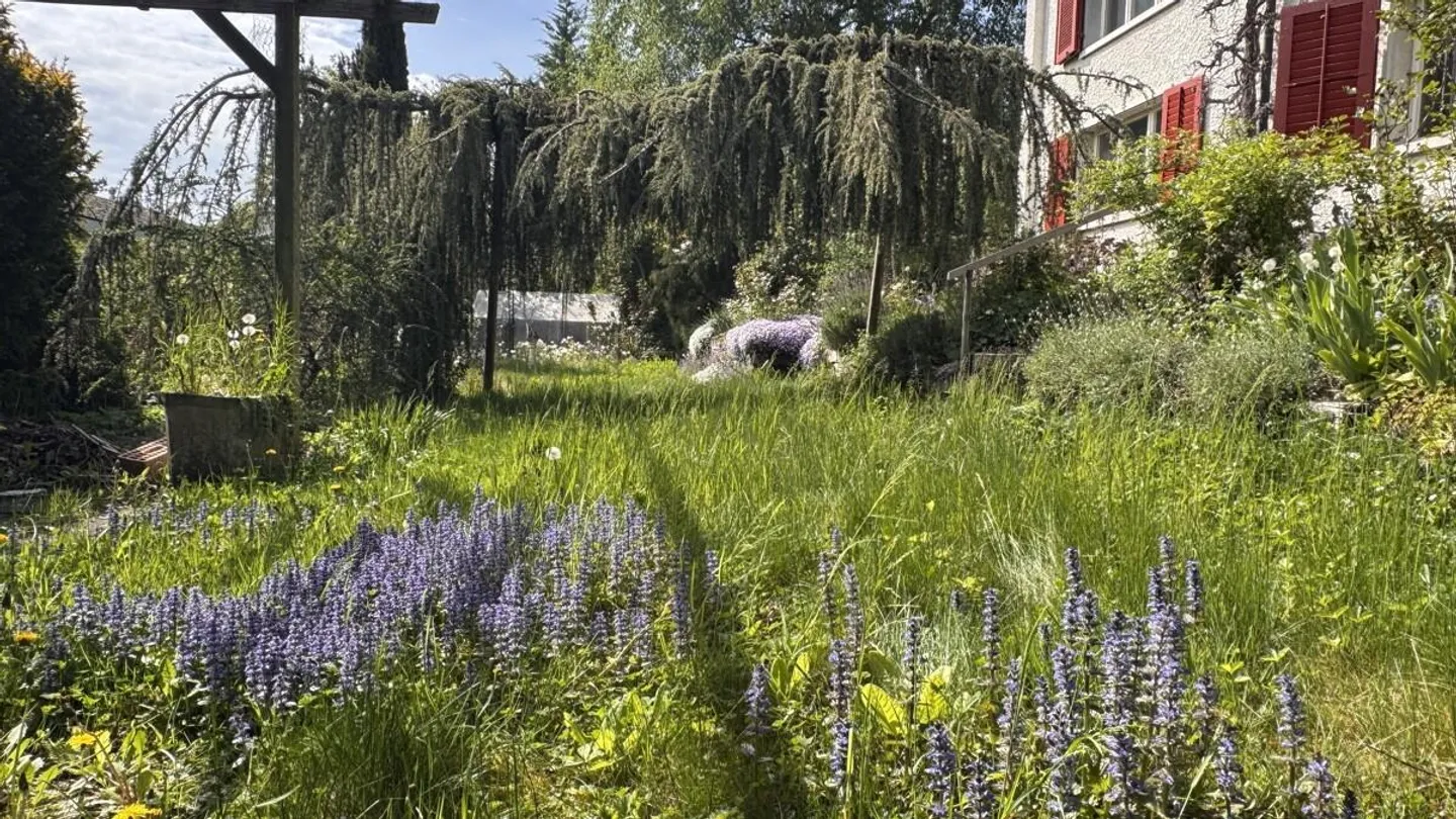 Charming House with Nature Garden - Photo 4 of 16