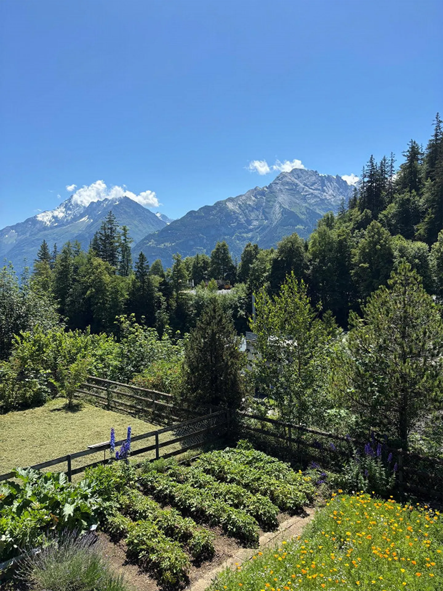EFH dans un emplacement unique, très ensoleillé - Photo 5 sur 6