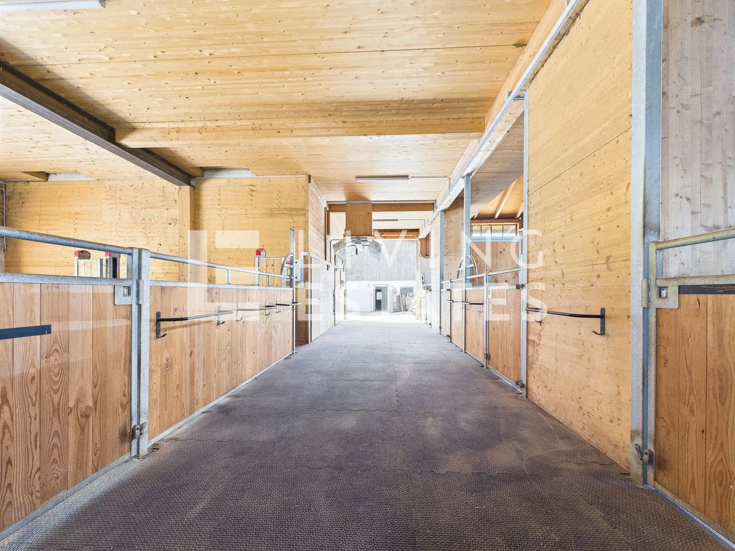 IDILLO EQUESTRE AL MASSIMO LIVELLO - COMFORT ABITATIVO CON STILE - Foto 12 di 19