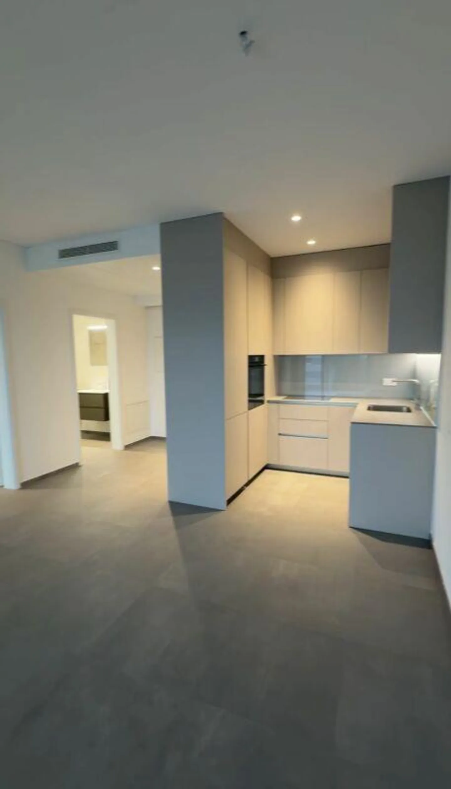 PREGASSONA · DERNIERS 2½ CHAMBRES AVEC JARDIN · OPTION D'ACHAT OU DE LOCATION - Photo 5 sur 13