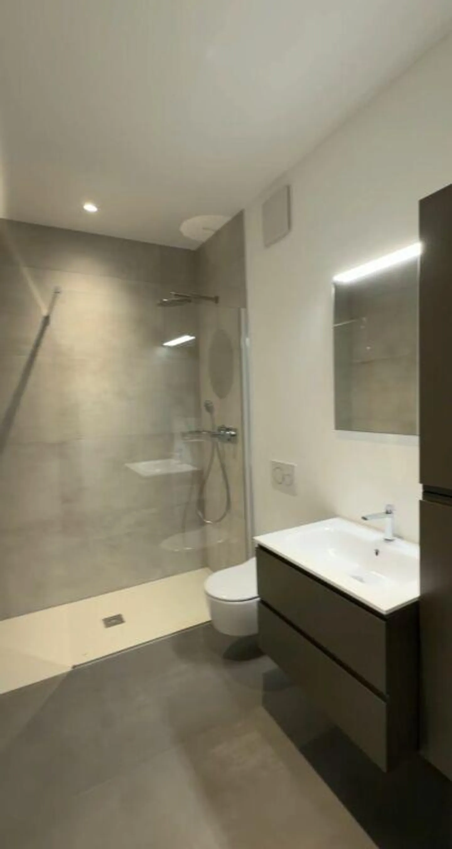 PREGASSONA · DERNIERS 2½ CHAMBRES AVEC JARDIN · OPTION D'ACHAT OU DE LOCATION - Photo 7 sur 13