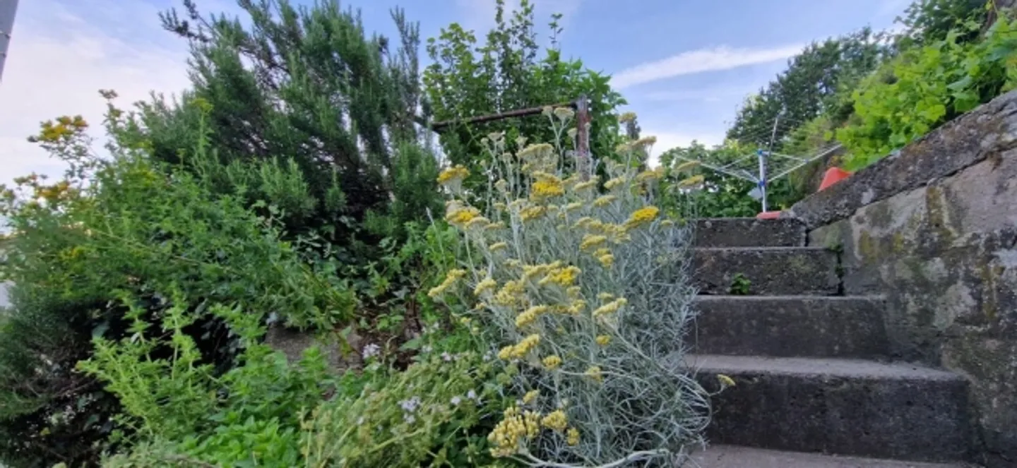 Casa indipendente in posizione centrale - Foto 7 di 9