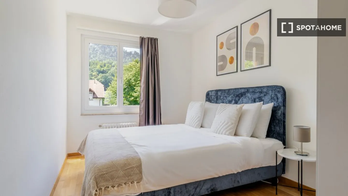 Charmante Wohnung in Zürich - Foto 18 von 18