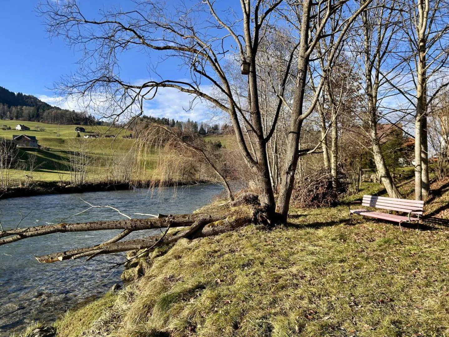 5.5-Zi-Haus mit Umschwung und Bachanstoss - Foto 13 von 16