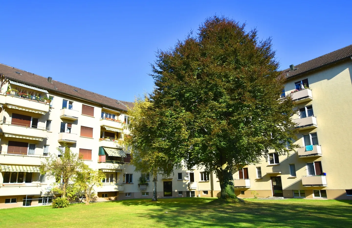 Charmante 3-Zimmerwohnung in Thun - Foto 2 von 9