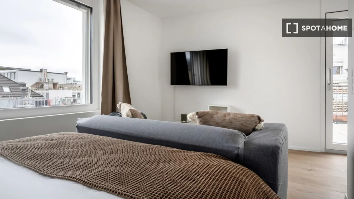 Charming Studio in Zurich - Photo 13 of 16