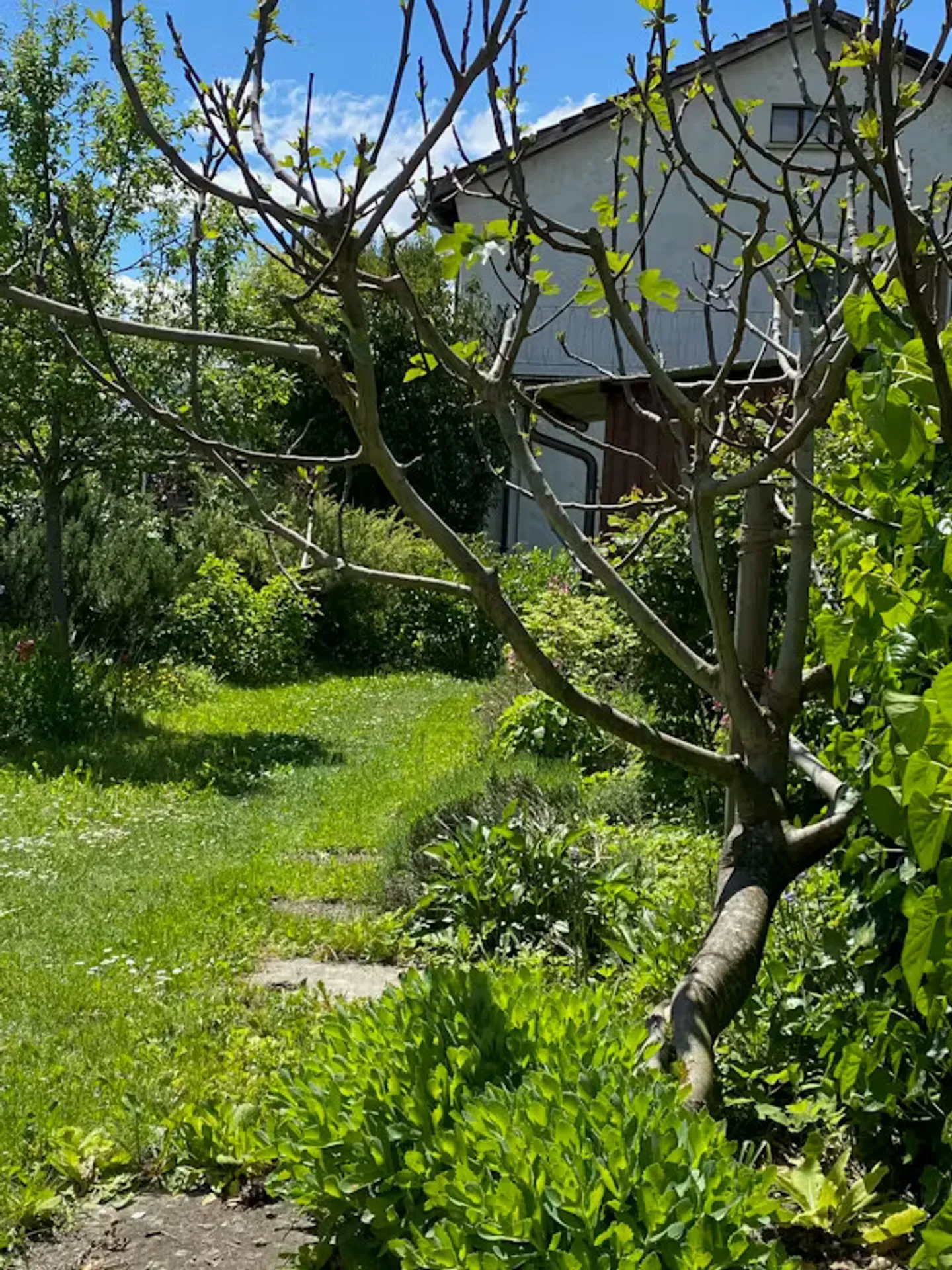 Einfamilienhaus mieten - Foto 7 von 8