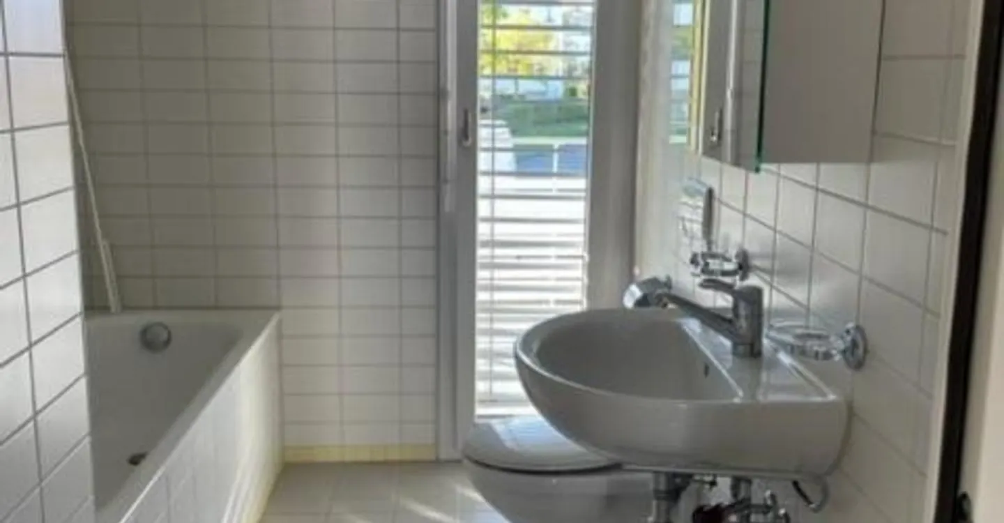 Moderne Wohnung mit 2 Nasszellen sucht neue Mieterschaft ... - Foto 4 di 10