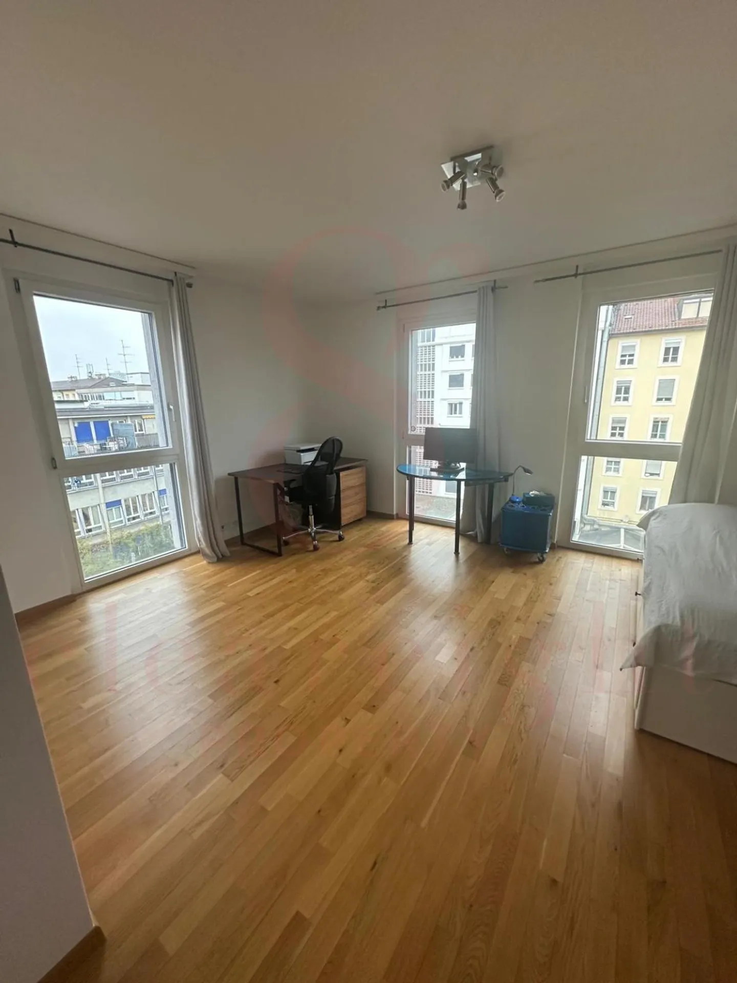 Superbo appartamento attraversante con vista mozzafiato a Carouge - Foto 3 di 5