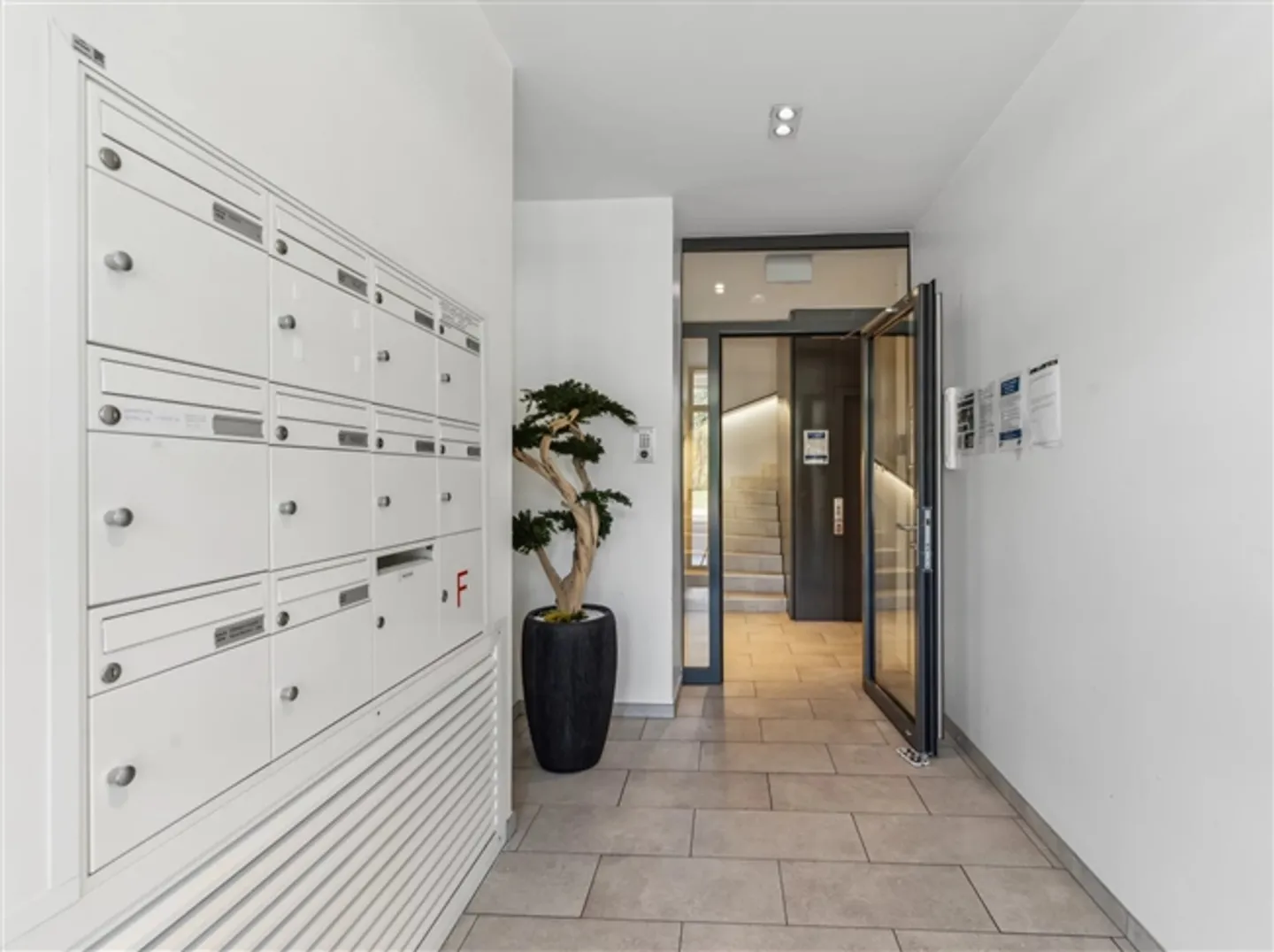 Belles zones à louer à Malagnou - Photo 2 sur 16