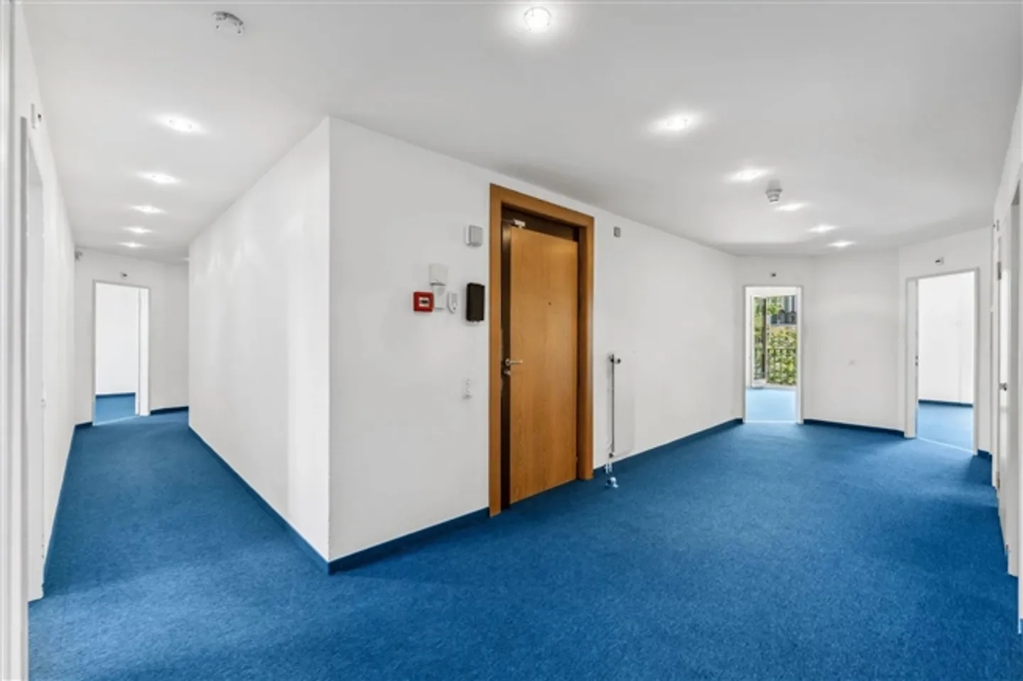 Belles zones à louer à Malagnou - Photo 3 sur 16