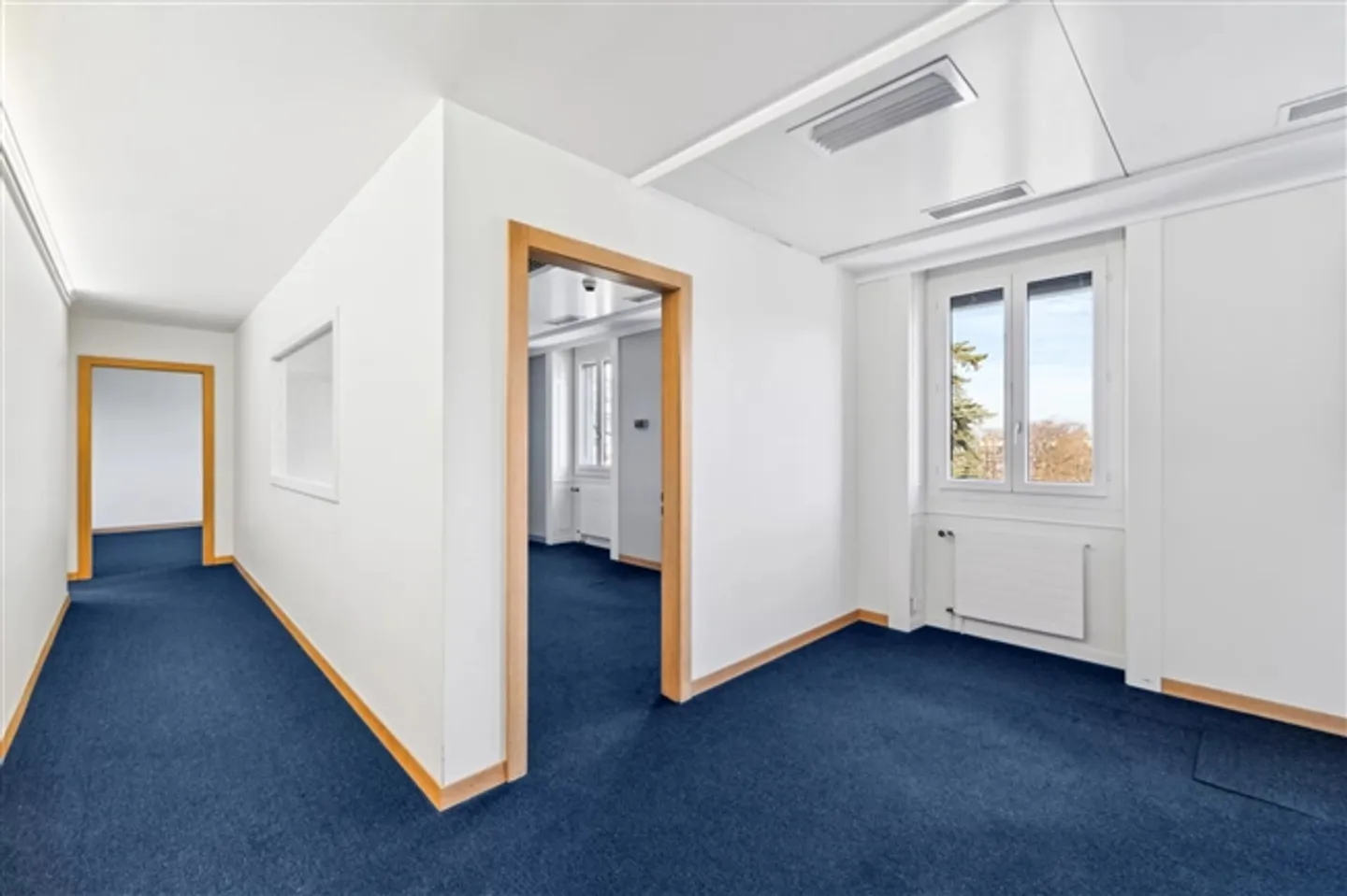 Belles zones à louer à Malagnou - Photo 6 sur 16