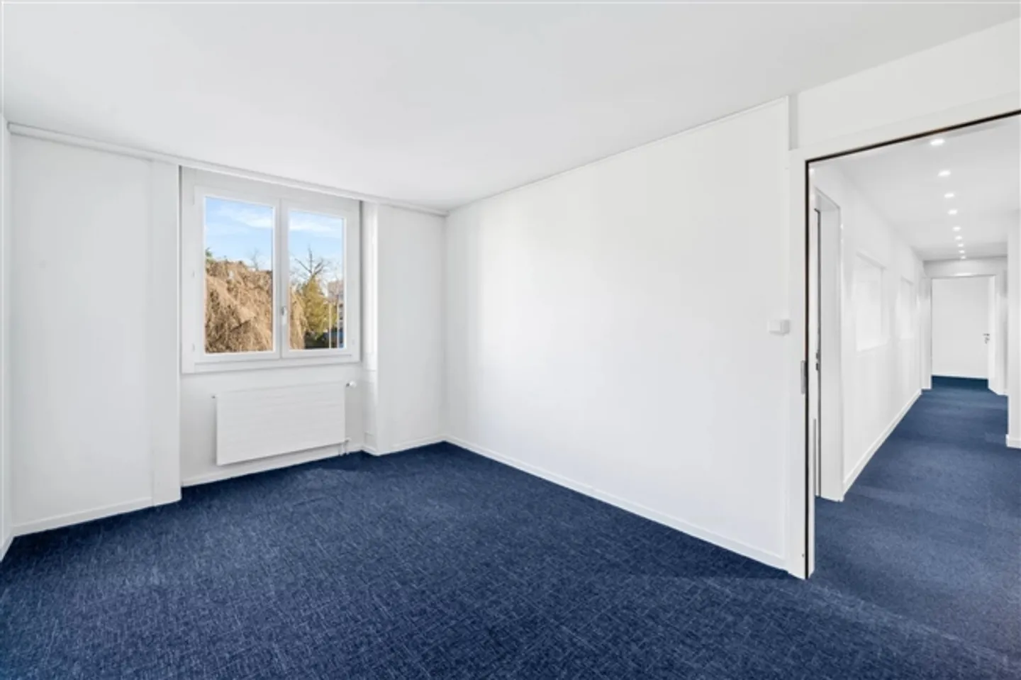 Belles zones à louer à Malagnou - Photo 11 sur 16