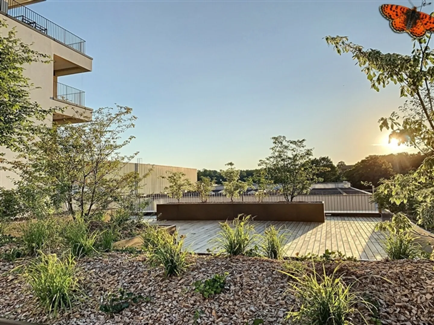 2,5 STANZE - Attualmente con Balcone - Foto 12 di 12