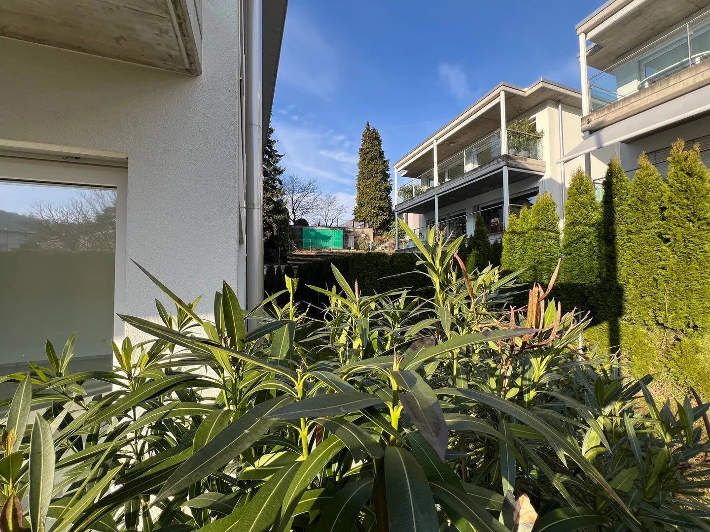 3.5 Rooms with Garden in Ponte Capriasca - Photo 12 of 16