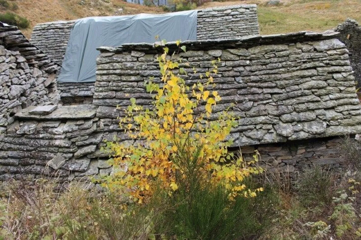 Rusticos in Moghegno - Foto 8 von 13