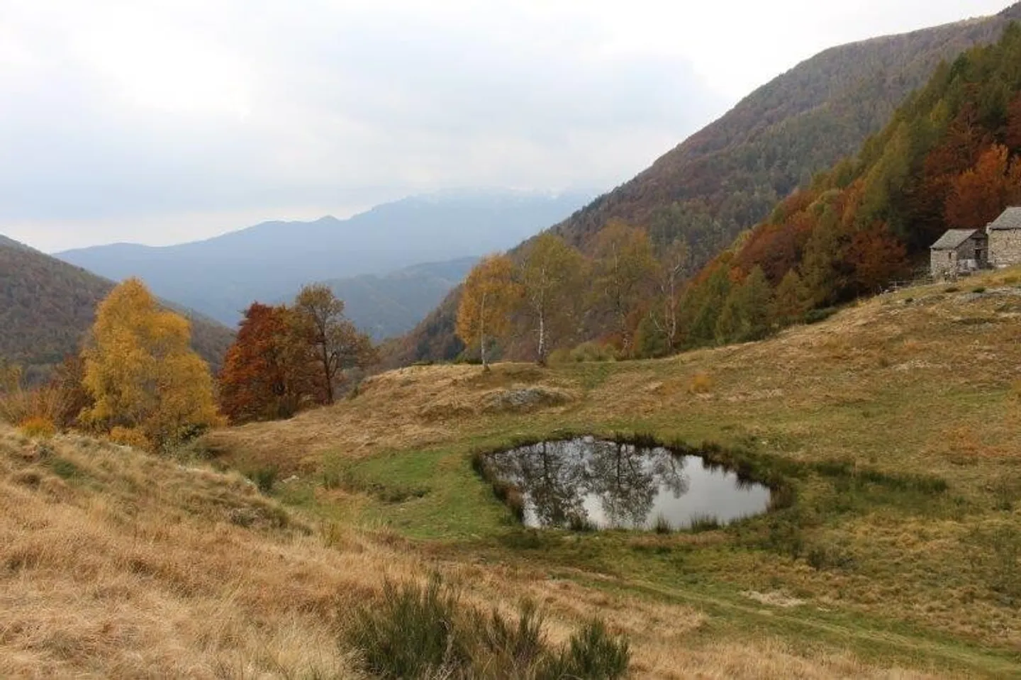 Rusticos in Moghegno - Foto 9 von 13