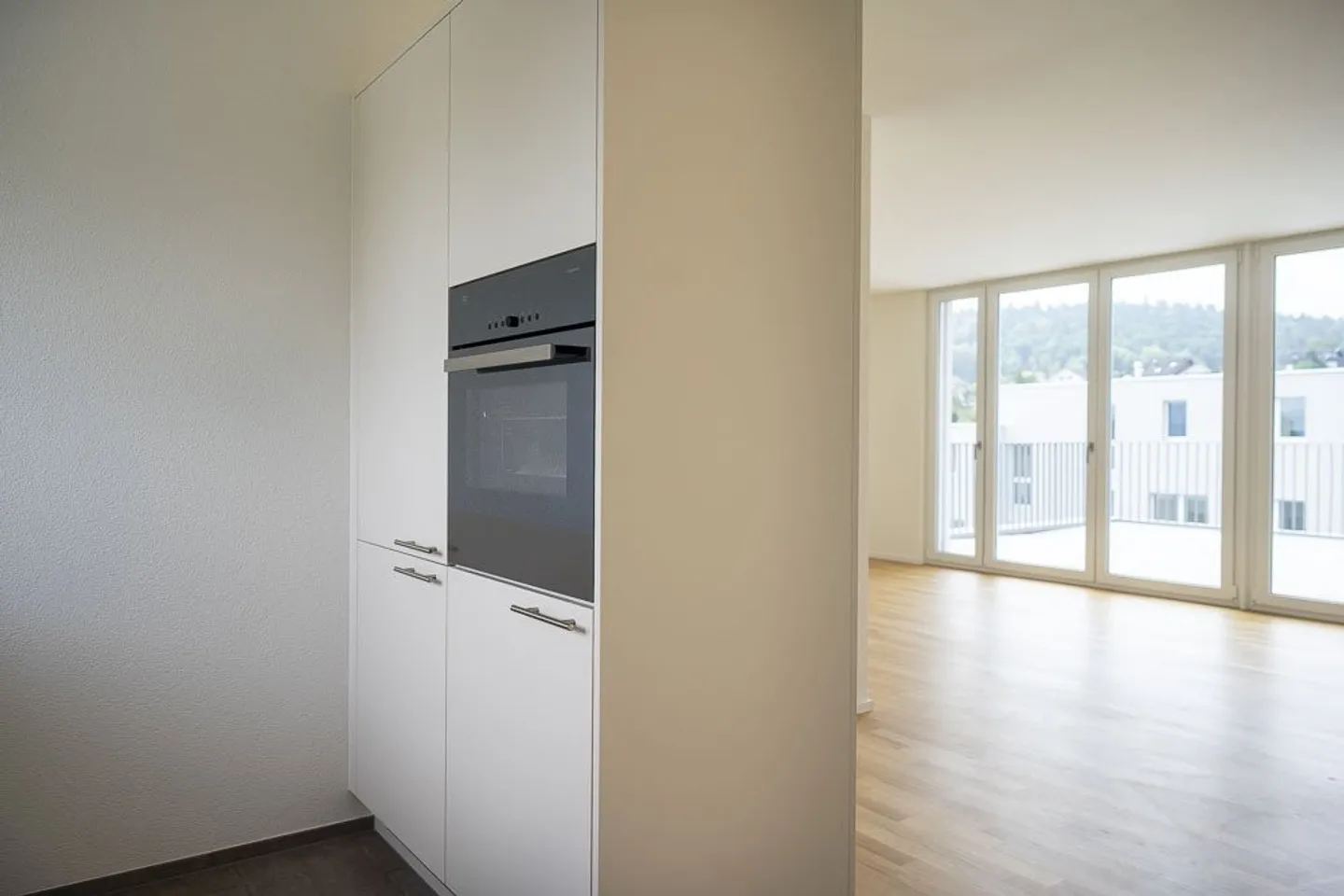 Charming Apartment by Lake Hallwil - Photo 3 of 9