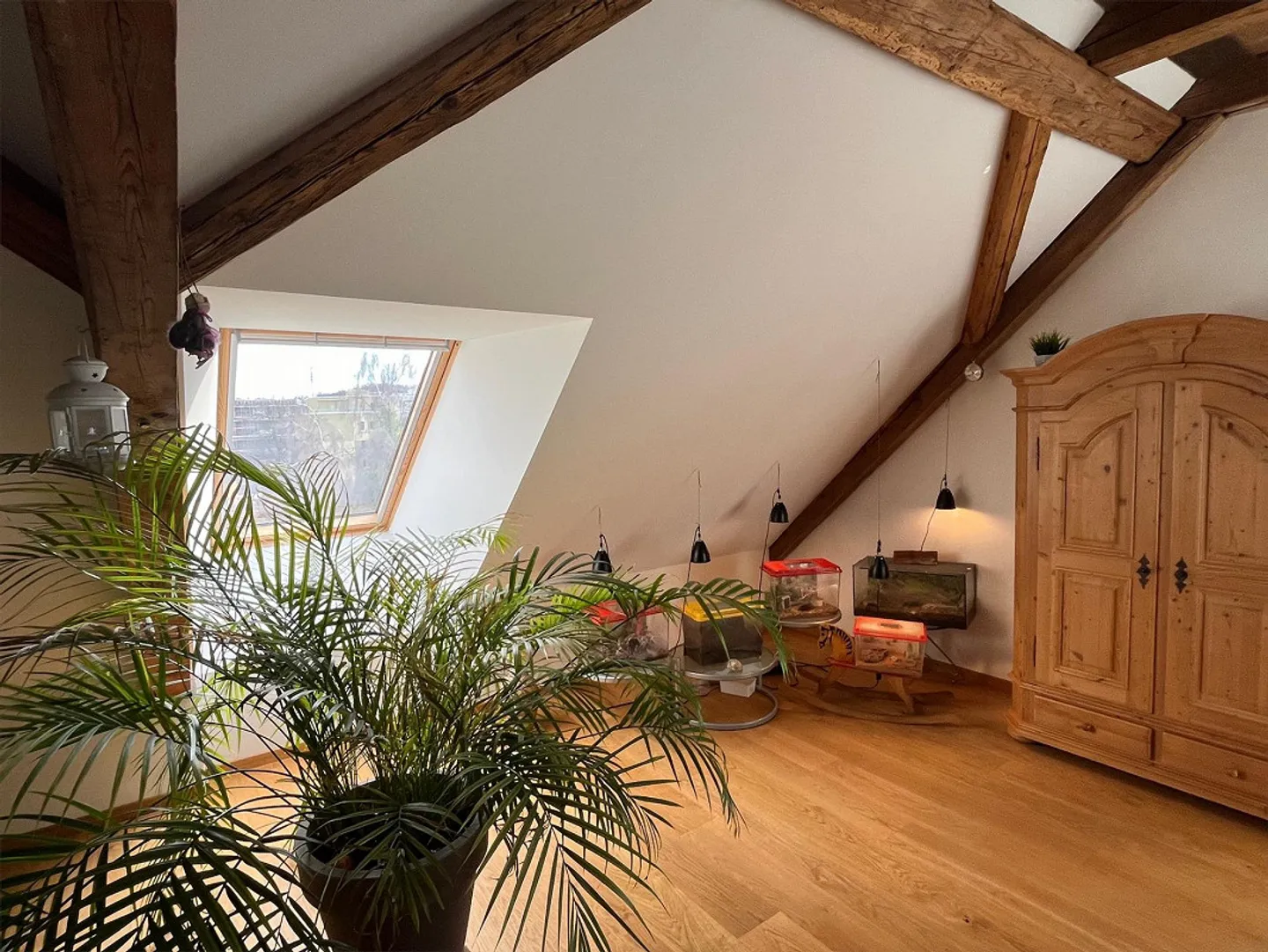 Maisonette di 6,5 stanze, a soli 500 m dalla stazione - Foto 5 di 11