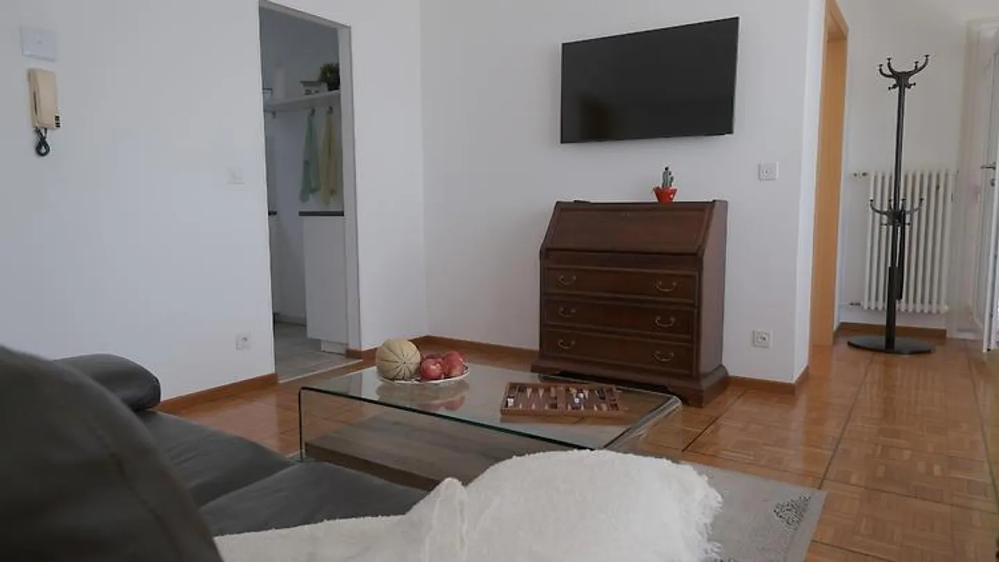 3 ZI-WOHNUNG IN ALDESAGO (TI), MÖBLIERT, TEMPORÄR - Photo 3 sur 10